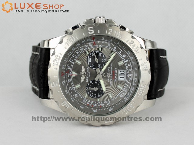 Repliques PROFESSIONAL montres PS004